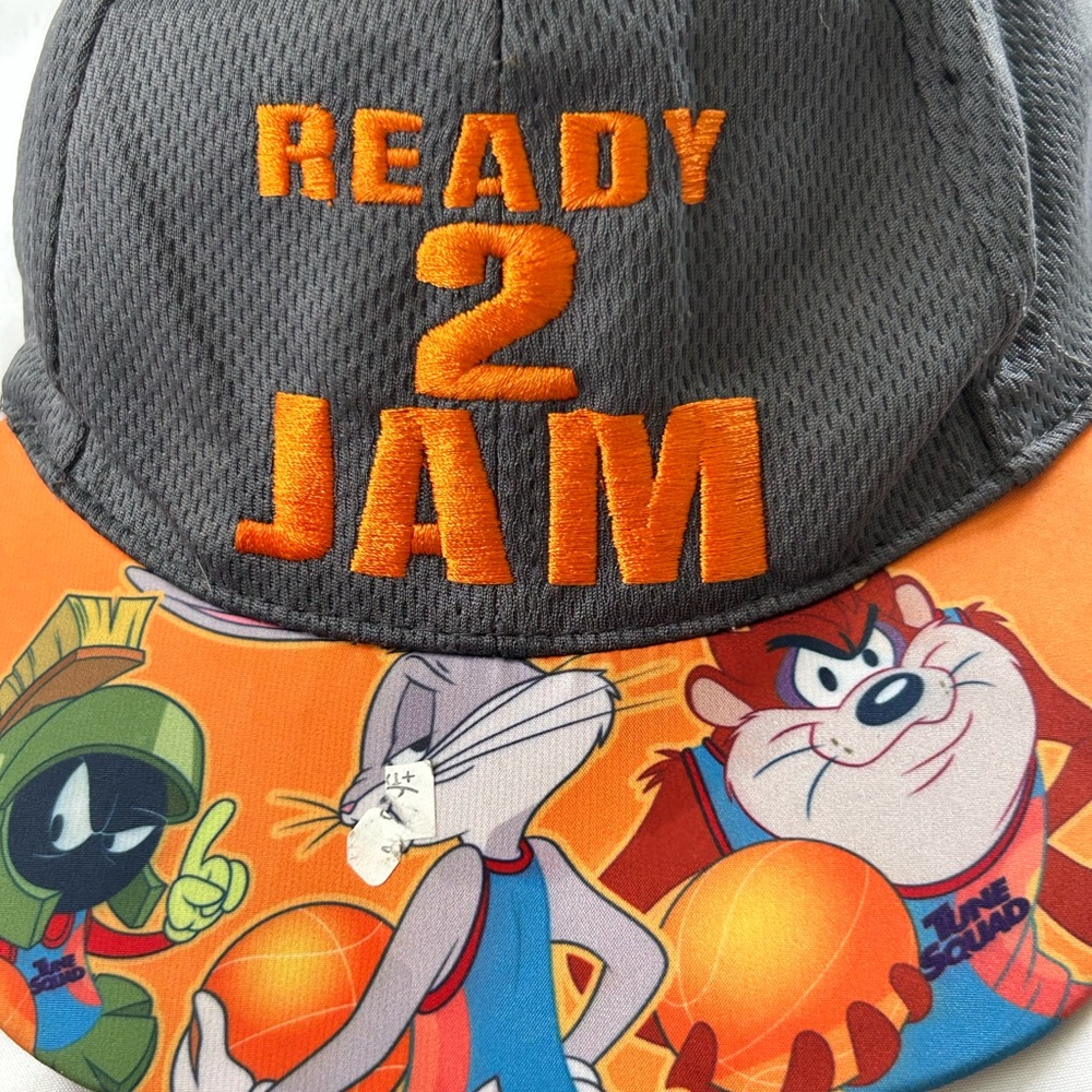 Warner Bros. Gray and Orange Kids Hat